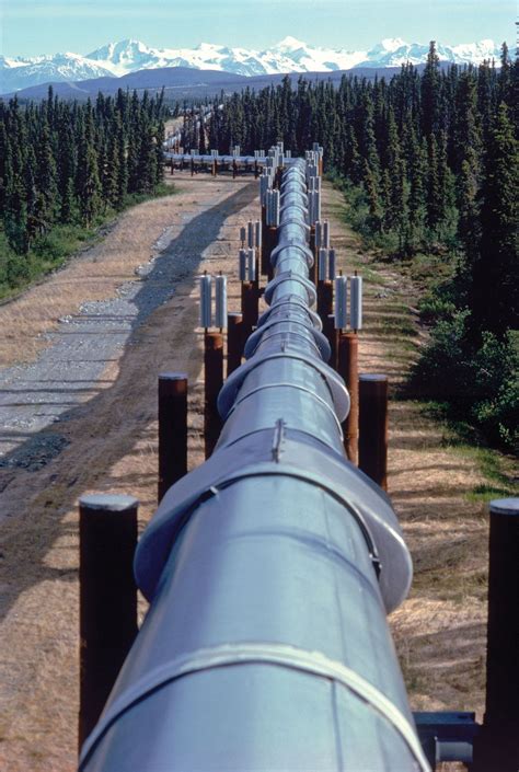 alaskan pipeline definition